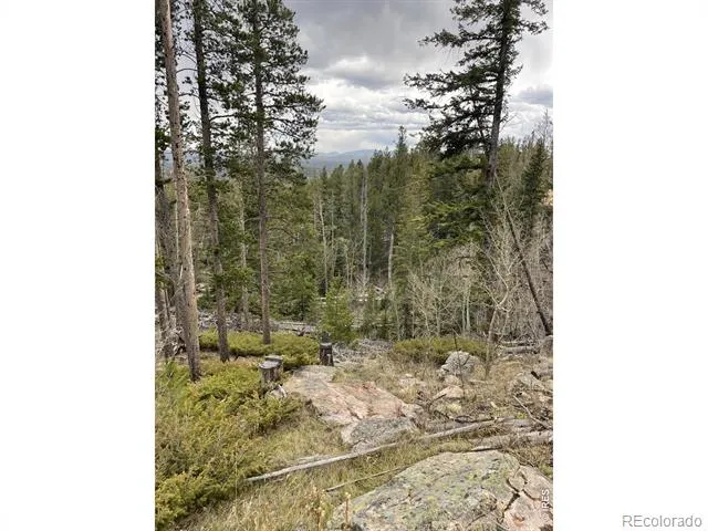 66 Piegan Court Red Feather Lakes, CO 80545
