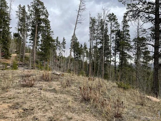 66 Piegan Court Red Feather Lakes, CO 80545