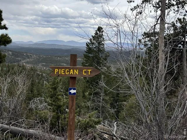 66 Piegan Court Red Feather Lakes, CO 80545