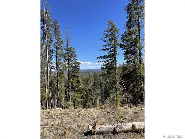 66 Piegan Court Red Feather Lakes, CO 80545
