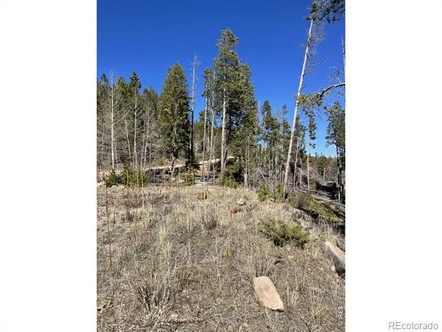 66 Piegan Court Red Feather Lakes, CO 80545