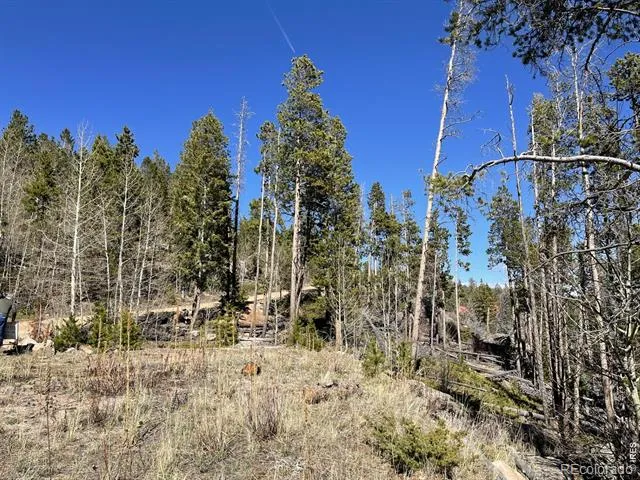 66 Piegan Court Red Feather Lakes, CO 80545