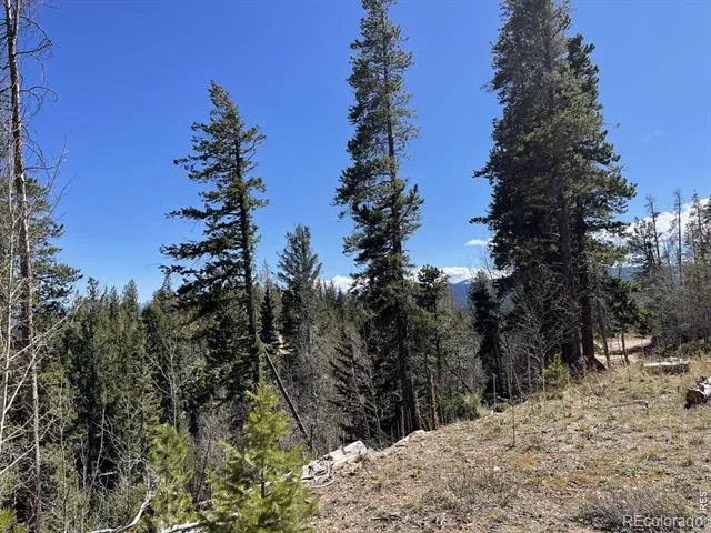 66 Piegan Court Red Feather Lakes, CO 80545
