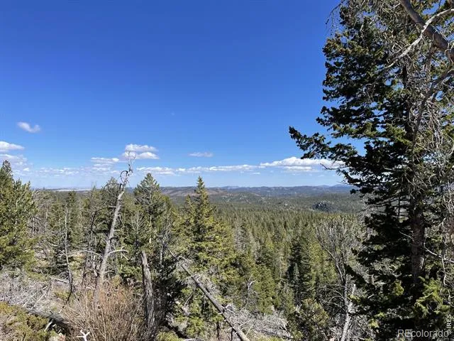 66 Piegan Court Red Feather Lakes, CO 80545