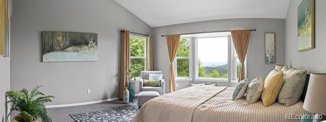 11740 BacaRD Road Conifer, CO 80433
