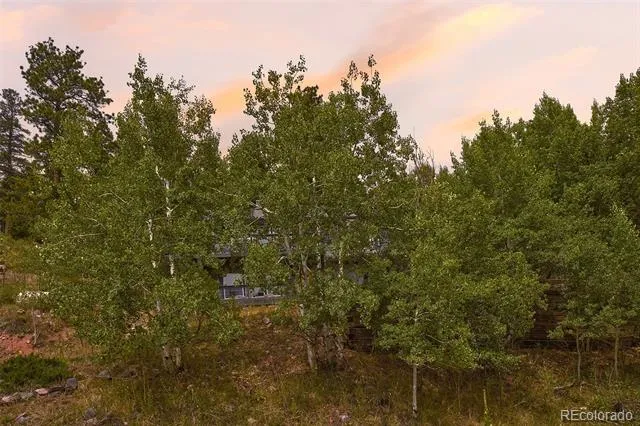 11740 BacaRD Road Conifer, CO 80433