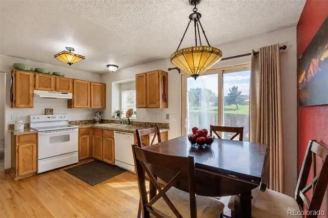 10102 Telluride Street Littleton, CO 80125