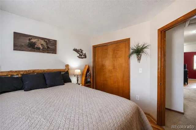 10102 Telluride Street Littleton, CO 80125