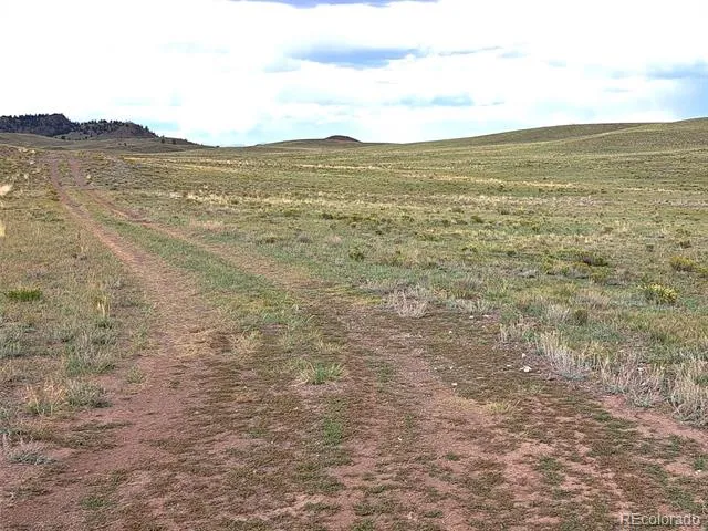 217 Black Gatto Trail Hartsel, CO 80449