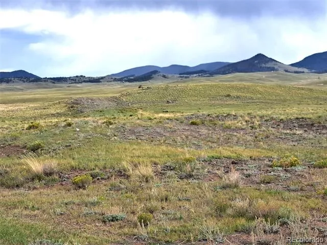 217 Black Gatto Trail Hartsel, CO 80449