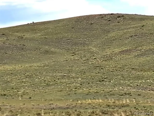 217 Black Gatto Trail Hartsel, CO 80449