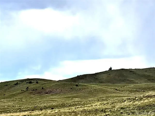 217 Black Gatto Trail Hartsel, CO 80449