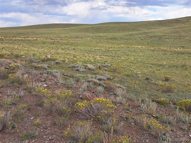 217 Black Gatto Trail Hartsel, CO 80449