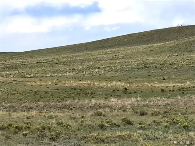 217 Black Gatto Trail Hartsel, CO 80449