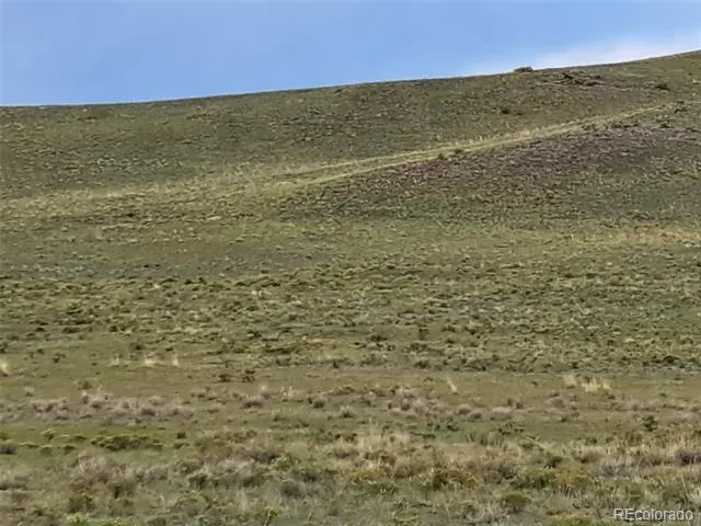 217 Black Gatto Trail Hartsel, CO 80449