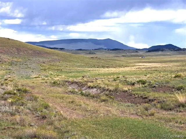 217 Black Gatto Trail Hartsel, CO 80449
