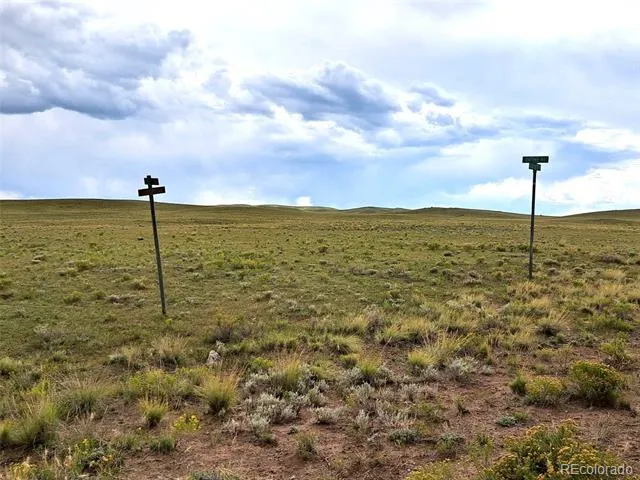 217 Black Gatto Trail Hartsel, CO 80449