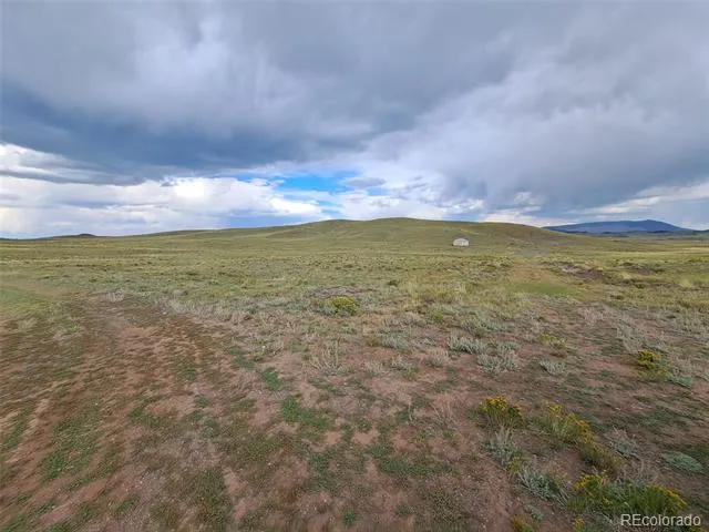 217 Black Gatto Trail Hartsel, CO 80449