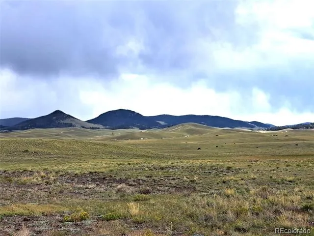 217 Black Gatto Trail Hartsel, CO 80449