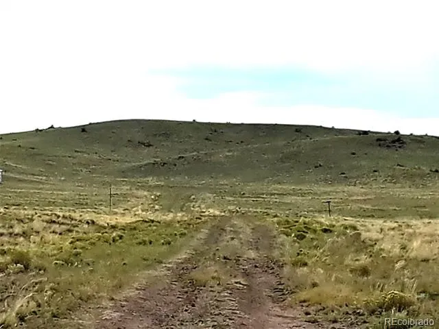 217 Black Gatto Trail Hartsel, CO 80449
