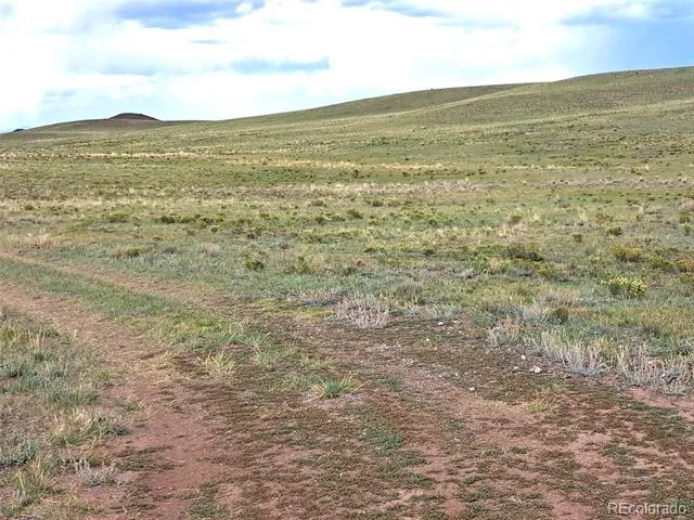 217 Black Gatto Trail Hartsel, CO 80449