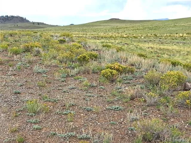 217 Black Gatto Trail Hartsel, CO 80449