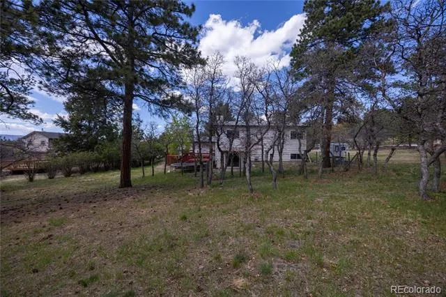 975 Tari Drive Colorado Springs, CO 80921