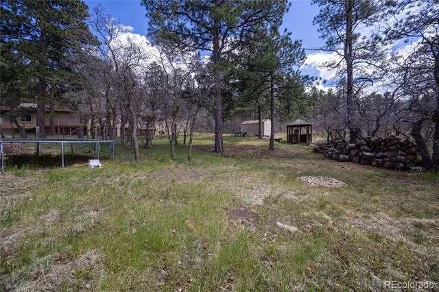 975 Tari Drive Colorado Springs, CO 80921