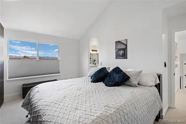 9803 Bucknell Court Highlands Ranch, CO 80129