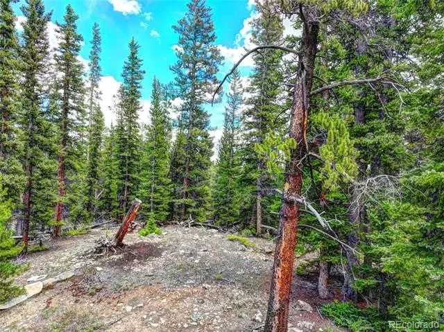 0 Dry Gulch Road Fairplay, CO 80440
