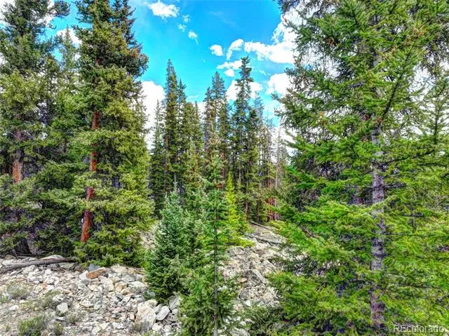 0 Dry Gulch Road Fairplay, CO 80440