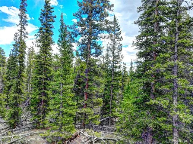 0 Dry Gulch Road Fairplay, CO 80440