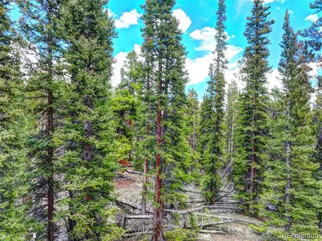 0 Dry Gulch Road Fairplay, CO 80440