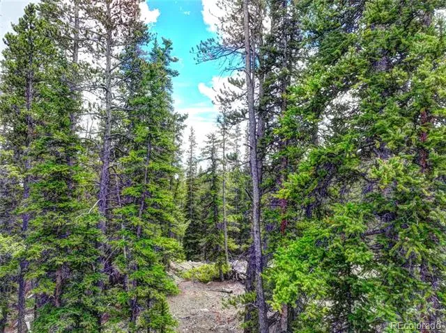 0 Dry Gulch Road Fairplay, CO 80440