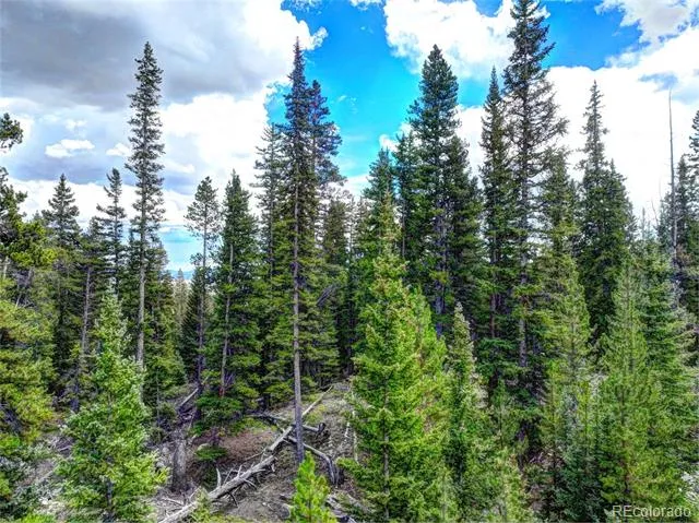 0 Dry Gulch Road Fairplay, CO 80440