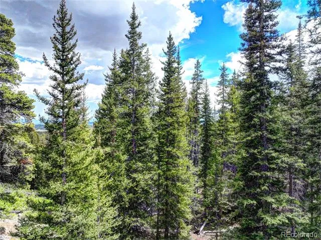 0 Dry Gulch Road Fairplay, CO 80440