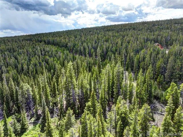 0 Dry Gulch Road Fairplay, CO 80440