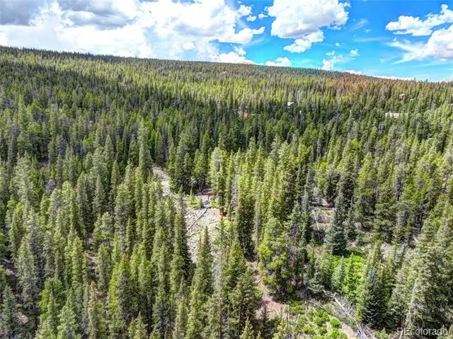 0 Dry Gulch Road Fairplay, CO 80440