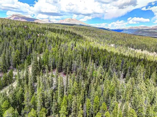 0 Dry Gulch Road Fairplay, CO 80440