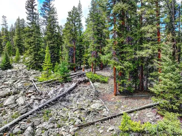 0 Dry Gulch Road Fairplay, CO 80440