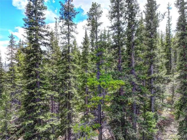 0 Dry Gulch Road Fairplay, CO 80440