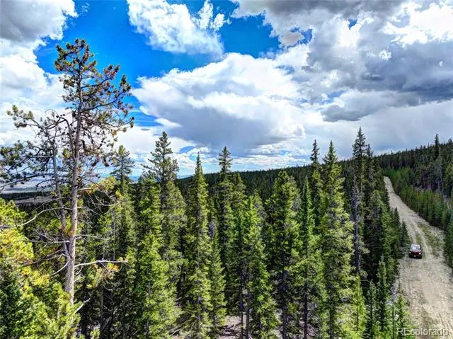 0 Dry Gulch Road Fairplay, CO 80440
