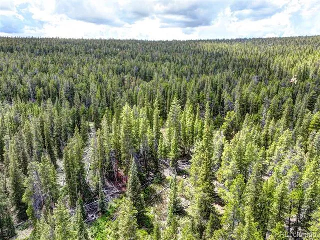 0 Dry Gulch Road Fairplay, CO 80440