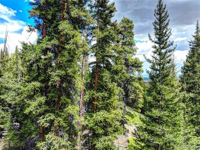 0 Dry Gulch Road Fairplay, CO 80440