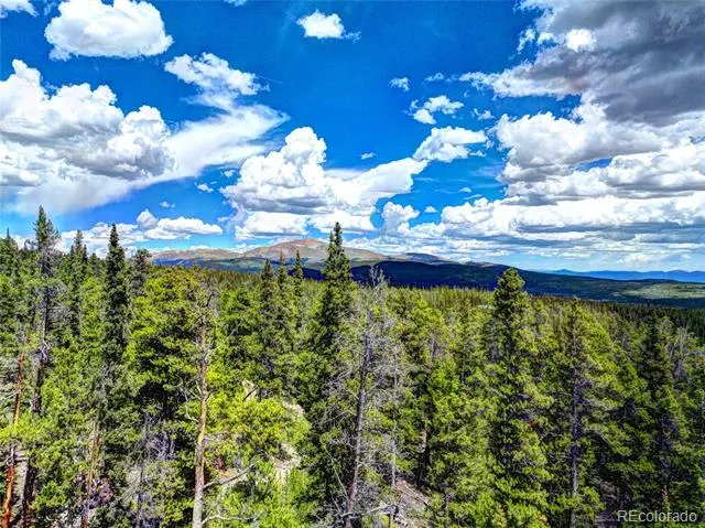 0 Dry Gulch Road Fairplay, CO 80440