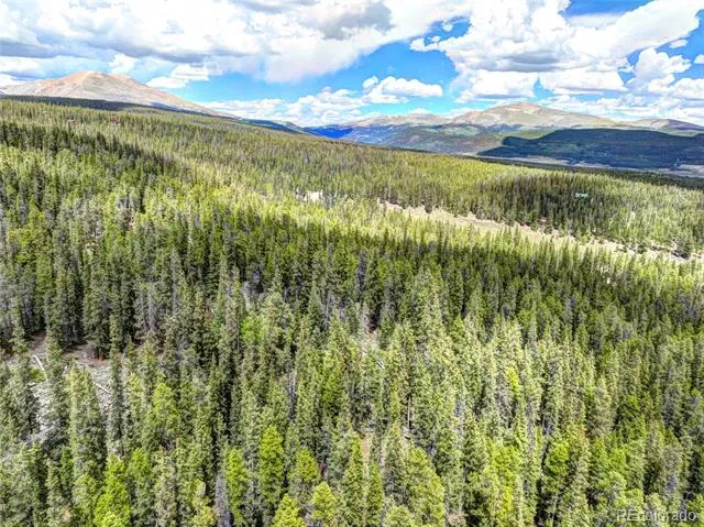 0 Dry Gulch Road Fairplay, CO 80440