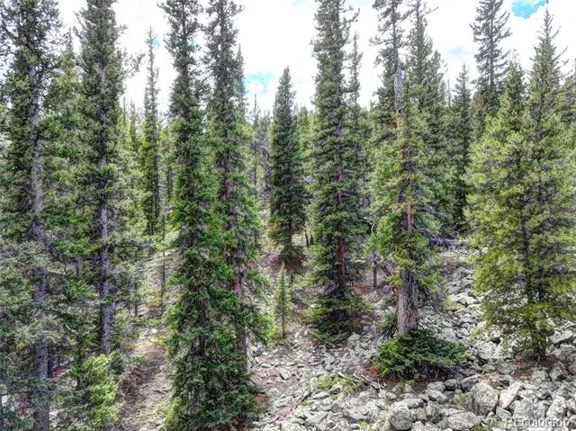 0 Dry Gulch Road Fairplay, CO 80440