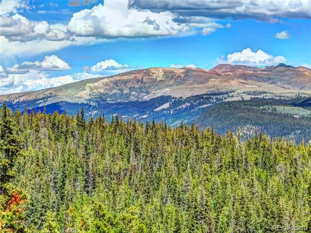 0 Dry Gulch Road Fairplay, CO 80440