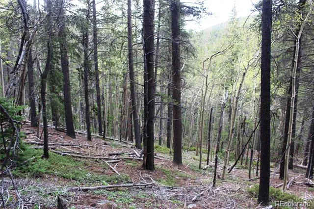 01 Broomfeild Gulch Road Black Hawk, CO 80422