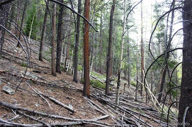 01 Broomfeild Gulch Road Black Hawk, CO 80422